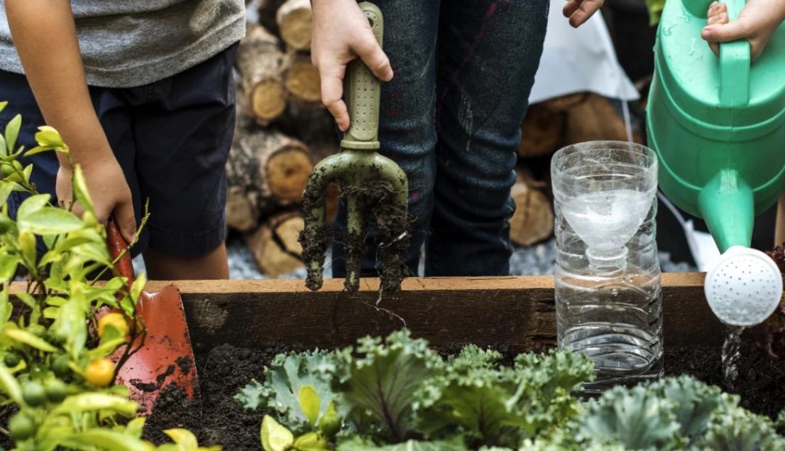 screenshot 2026 01 25 201557